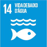 Objetivo 14 - Vida Debaixo D'Água